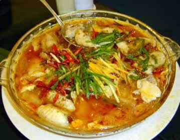 猪排炖黄豆芽